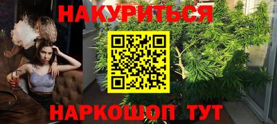 индика Нягань