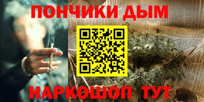 индика Нягань