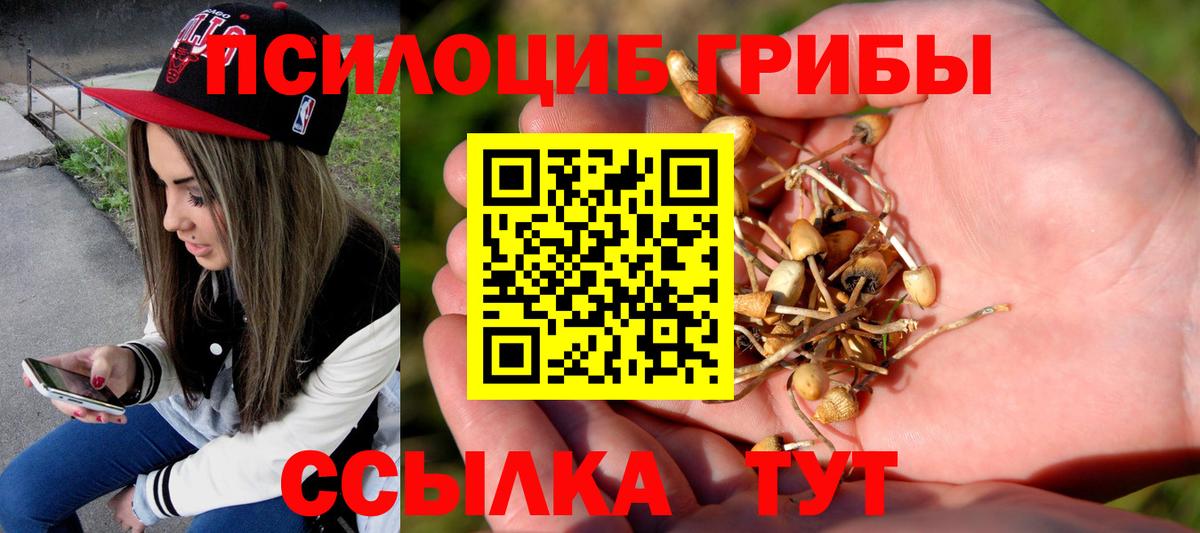 Советск  Галлюциногенные грибы GOLDEN TEACHER  Вход с VPN 
